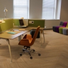 Gerflor Collection 55 Loose-Lay - Tamo Light Brown 1568 | selbstliegender Vinylboden | Planke: 152 x 914 mm