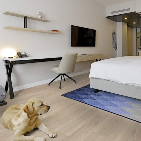 Project Floors F-SPC - PW 1270/30 | Rigid-Klickvinyl