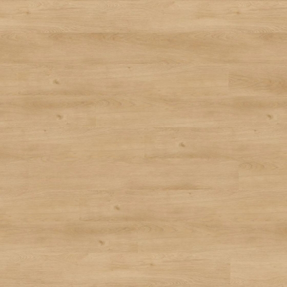 Wineo 800 L - Merano Oak Nature DB818WL | Klebe-Vinylboden