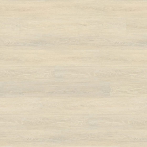 Wineo 800 L - Visby Oak Cream DB815WL | Klebe-Vinylboden