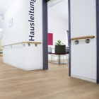 Wineo 800 XL - Dalen Oak Nature DB834WXL | Klebe-Vinylboden