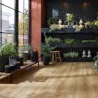 Wineo 800 XL - Bradford Oak Honey DB835WXL | Klebe-Vinylboden