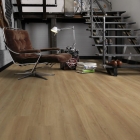 Wineo 800 XL - Bradford Oak Honey DB835WXL | Klebe-Vinylboden