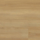 Wineo 800 XL - Bradford Oak Honey DB835WXL | Klebe-Vinylboden