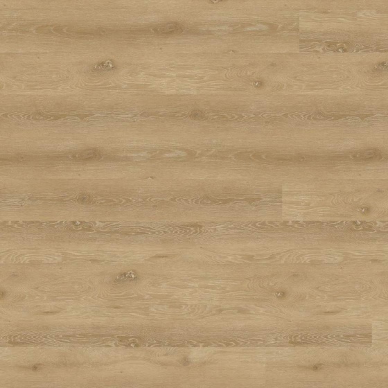 Wineo 800 - Sockelleiste Trondheim Oak Brown F6010107