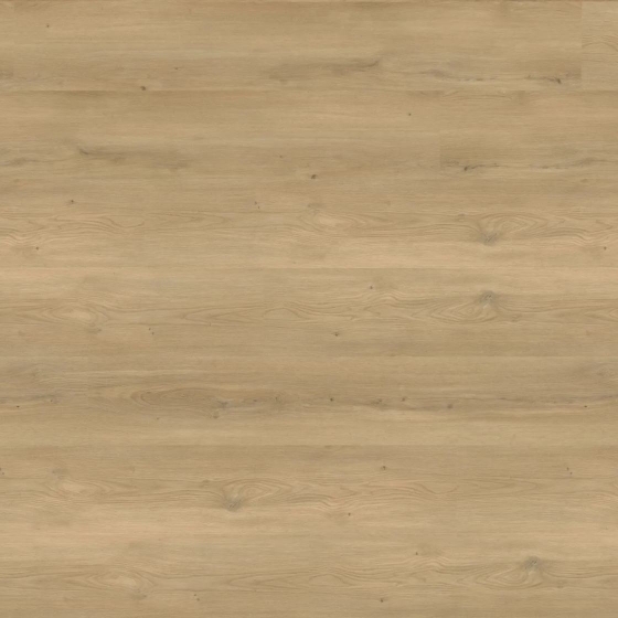 Wineo 800 Klick XL - Stavanger Oak Nature MLD833WXL | Klick-Vinylboden