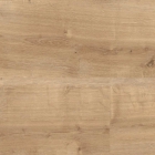 Wineo 1500 wood L - Canyon Oak Sand PL15001WL | BioBoden