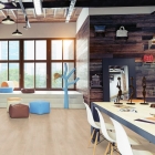 Wineo 1500 wood L - Siena Oak Nature PL15011WL | BioBoden