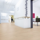 Wineo 1500 wood L - Siena Oak Nature PL15011WL | BioBoden