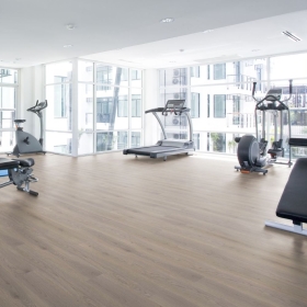 Wineo 1500 wood L - Durban Oak Taupe PL15003WL | BioBoden