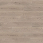 Wineo 1500 wood L - Durban Oak Taupe PL15003WL | BioBoden