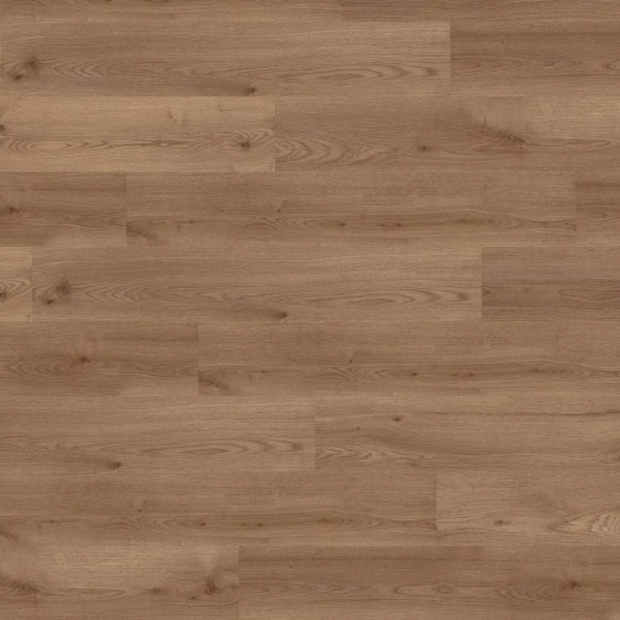 Wineo 1500 wood L - Ravenna Oak Brown PL15010WL | BioBoden