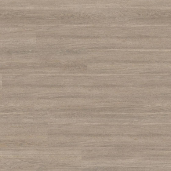 Wineo 1500 wood XL - Mayfield Oak Taupe PL15214WXL | BioBoden