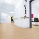 Wineo 1500 wood XL - Fine Oak Nature PL15204WXL | BioBoden