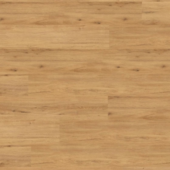 Wineo 1500 wood XL - Crafted Oak PL15201WXL | BioBoden