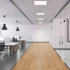 Wineo 1500 wood XL - Crafted Oak PL15201WXL | BioBoden