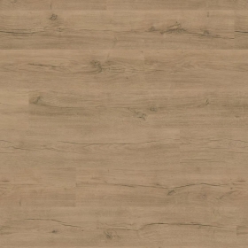 Wineo 1500 wood XL - Real Oak Taupe PL15218WXL | BioBoden