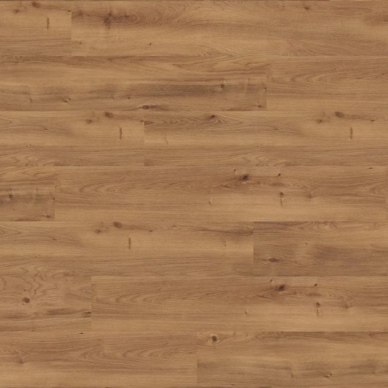 Wineo 1500 wood XL - Intensive Oak Brown PL15207WXL | BioBoden
