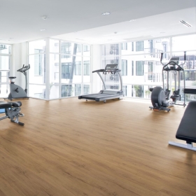 Wineo 1500 wood XL - Real Oak Amber PL15216WXL | BioBoden