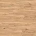 Wineo 1500 wood XL - Intensive Oak Amber PL15206WXL | BioBoden