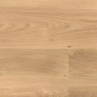 Wineo 1500 wood XL - Intensive Oak Amber PL15206WXL | BioBoden