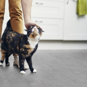 Gerflor Senso Clic 3 - Manhattan Clear 0826 |...