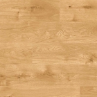 KWG Samoa - Satineiche 401170 | Klick-Korkboden