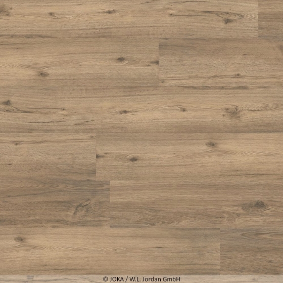 Joka Design 555 Click - Spring Oak 509 | Klick-Vinylboden