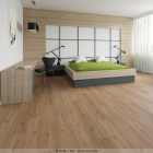 Joka Design 555 Click - Spring Oak 509 | Klick-Vinylboden
