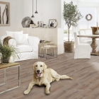 FoxFloors Profi Click - Eiche Harstad 0183 | Klick-Vinylboden