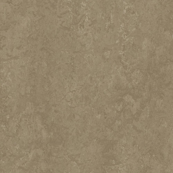 Forbo Marmoleum Modular Neutral - Sparrow t3252 | Linoleum