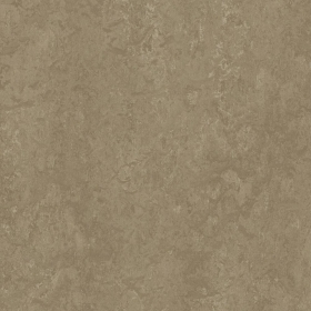 Forbo Marmoleum Modular Neutral - Sparrow t3252 | Linoleum