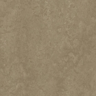 Forbo Marmoleum Modular Neutral - Sparrow t3252 | Linoleum