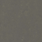 Forbo Marmoleum Modular Neutral - Meteorite t3705 | Linoleum