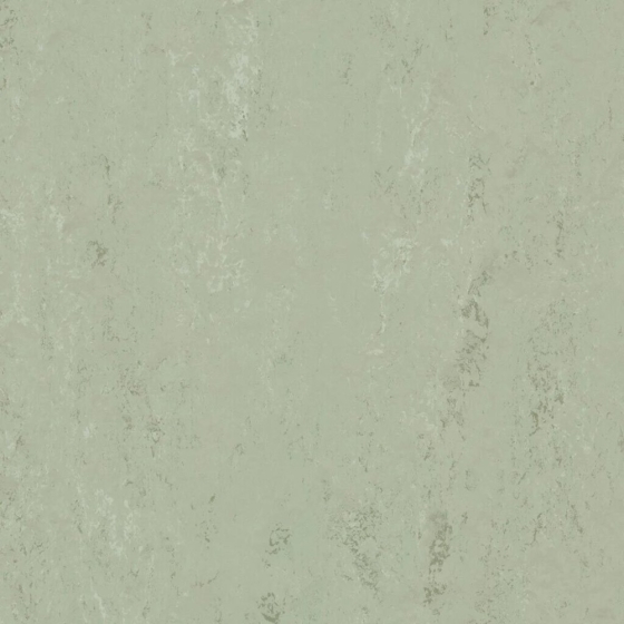 Forbo Marmoleum Modular Accent - Fresh Thyme t3769 | Linoleum