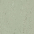 Forbo Marmoleum Modular Accent - Fresh Thyme t3769 | Linoleum