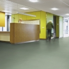 Forbo Marmoleum Modular Accent - Pine Forest t3750 | Linoleum
