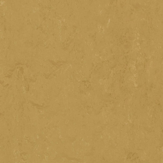 Forbo Marmoleum Modular Accent - Linseed t3768 | Linoleum