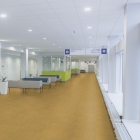 Forbo Marmoleum Modular Accent - Linseed t3768 | Linoleum