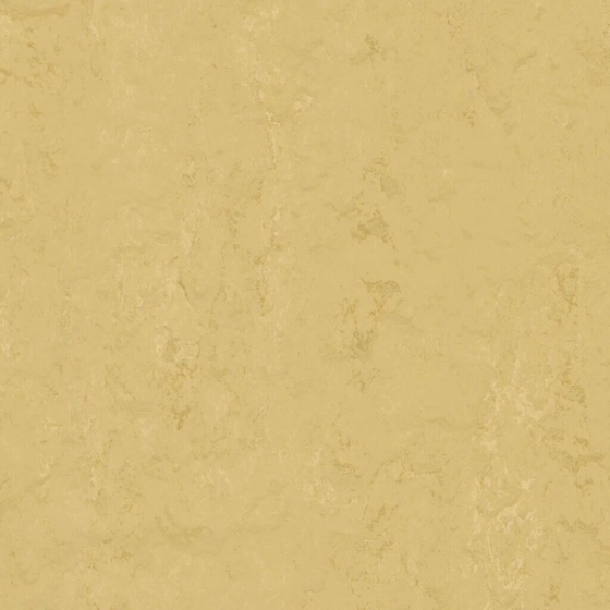 Forbo Marmoleum Modular Accent - Corn Silk t3774 | Linoleum