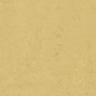 Forbo Marmoleum Modular Accent - Corn Silk t3774 | Linoleum