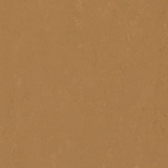 Forbo Marmoleum Modular Accent - Tigers Eye t3772 | Linoleum