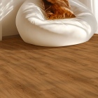Gerflor Collection 55 - Quartet Natural 0545 | Klebe-Vinylboden