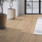 Gerflor Collection 55 - Linear Wood Clear 1701 | Klebe-Vinylboden