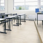 Gerflor Collection 55 - Paradiso Bone 1729 | Klebe-Vinylboden