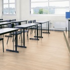 Gerflor Collection 55 - Paradiso Cream 1730 | Klebe-Vinylboden