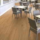 Gerflor Collection 70 - City Oak Honey 1719 | Klebe-Vinylboden