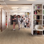 Gerflor Collection 55 Clic - Linear Wood Clear 1701 | Rigid-Klickvinyl