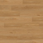 Gerflor Collection 55 Clic Acoustic - Aquinoah Honey 1706 | Rigid-Klickvinyl