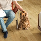 Quick-Step Hydroseal Impressive - Trüffeleiche IM8256 | Klick-Naturdesignboden